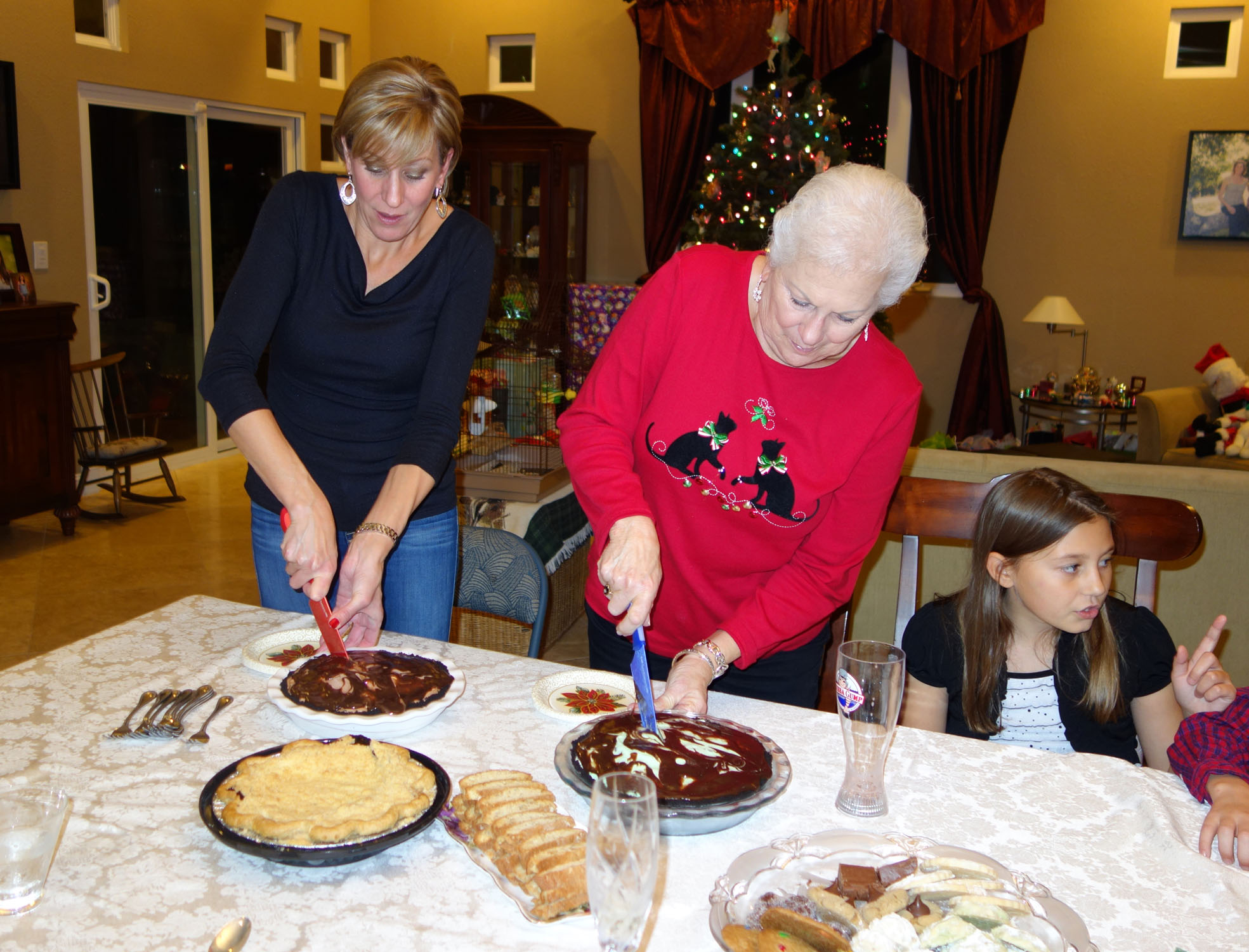 Christmas 2015 Shelley (5)